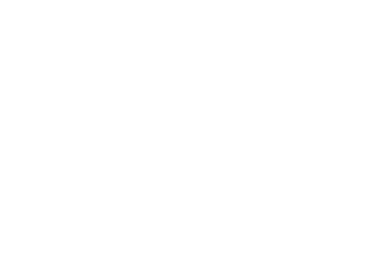 Alter Digital